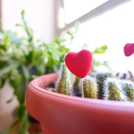 Appartamento Cignani Loft By Lesdomus - Station, Fair, Center Bologna