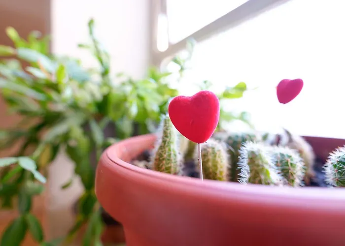 Appartement Cignani Loft By Lesdomus - Station, Fair, Center Bologna